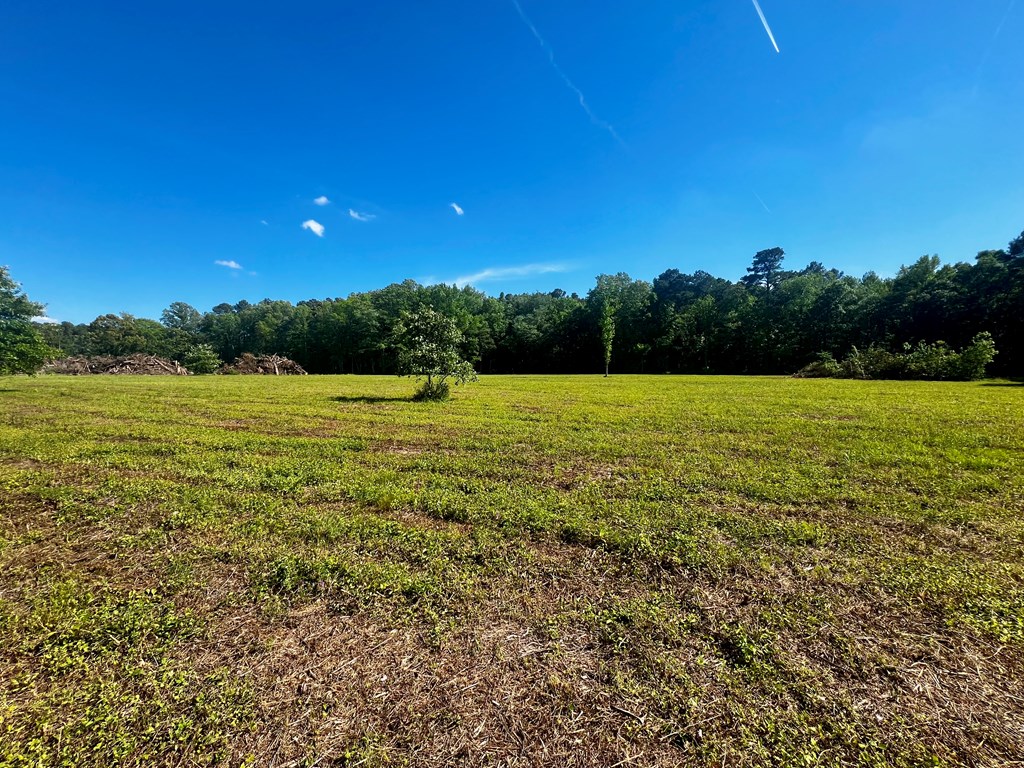 LOTS 1-8 Gray Farm Rd #1-8, Temperanceville, Virginia image 13