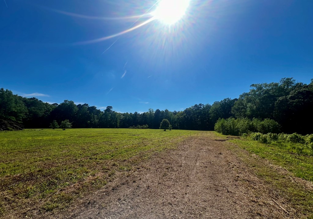LOTS 1-8 Gray Farm Rd #1-8, Temperanceville, Virginia image 9