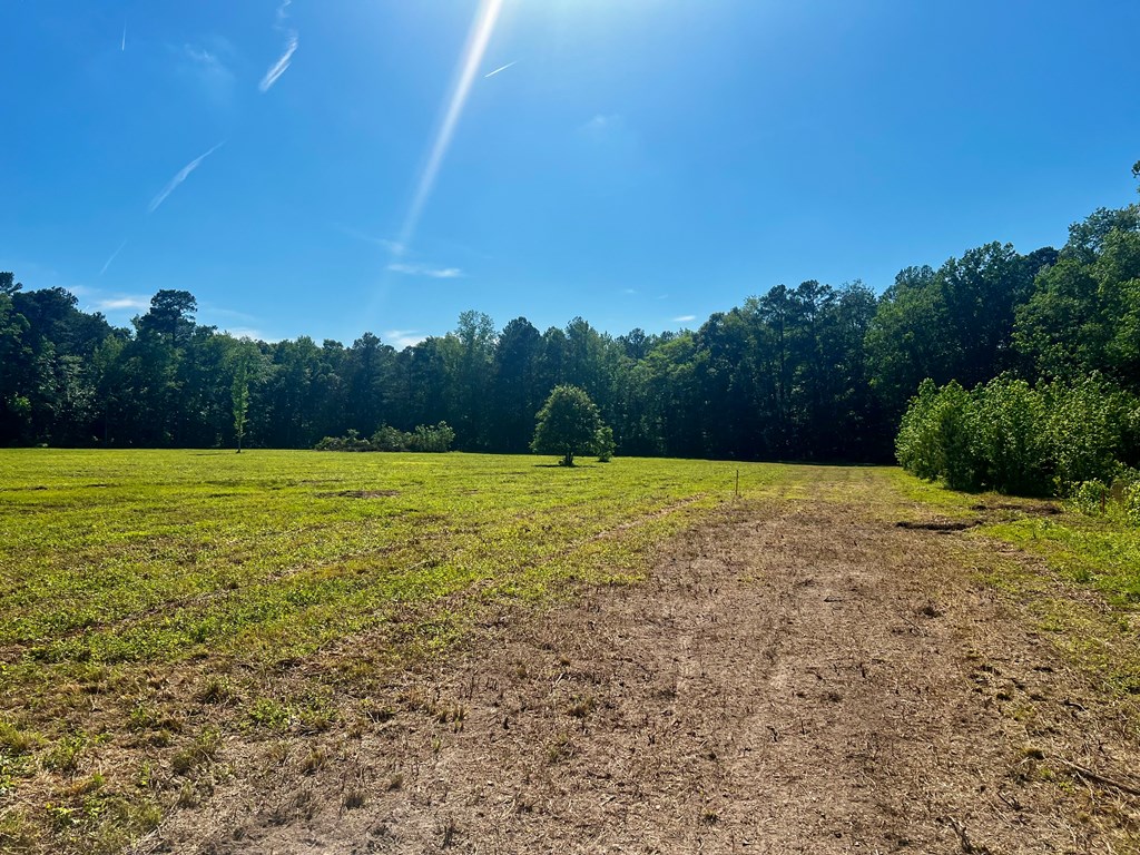 LOTS 1-8 Gray Farm Rd #1-8, Temperanceville, Virginia image 7