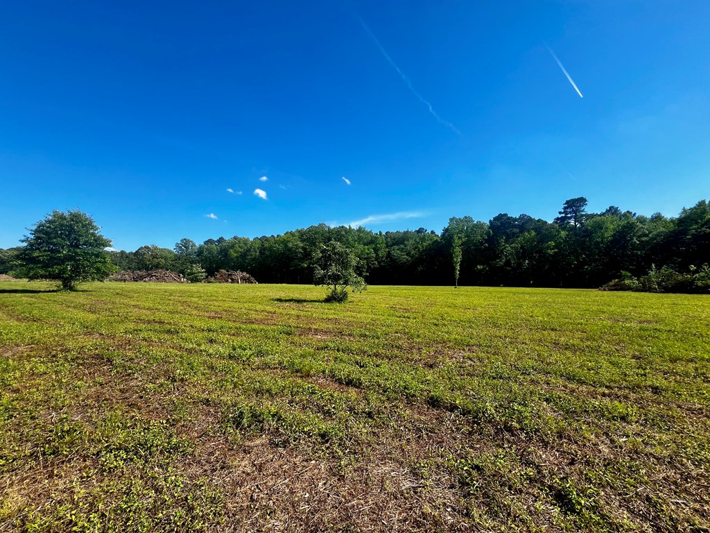 LOTS 1-8 Gray Farm Rd #1-8, Temperanceville, Virginia image 17