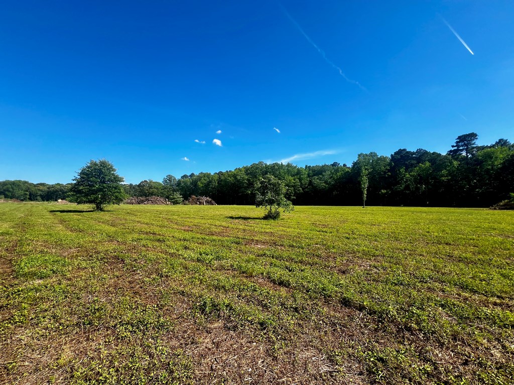 LOTS 1-8 Gray Farm Rd #1-8, Temperanceville, Virginia image 18