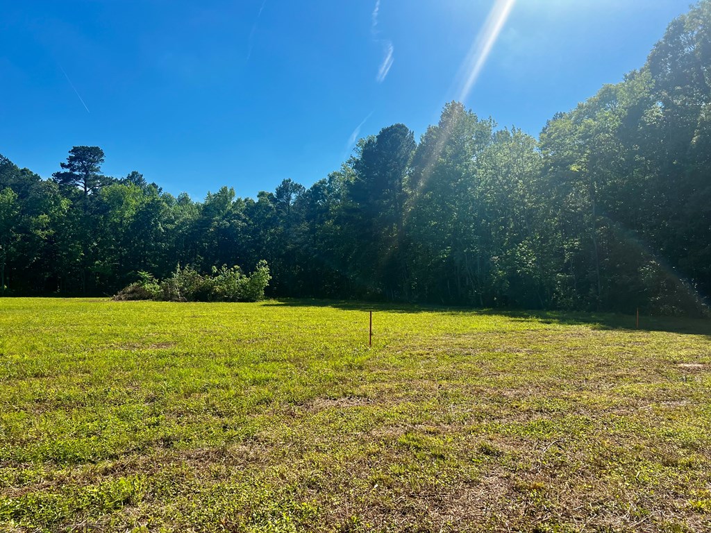 LOTS 1-8 Gray Farm Rd #1-8, Temperanceville, Virginia image 15