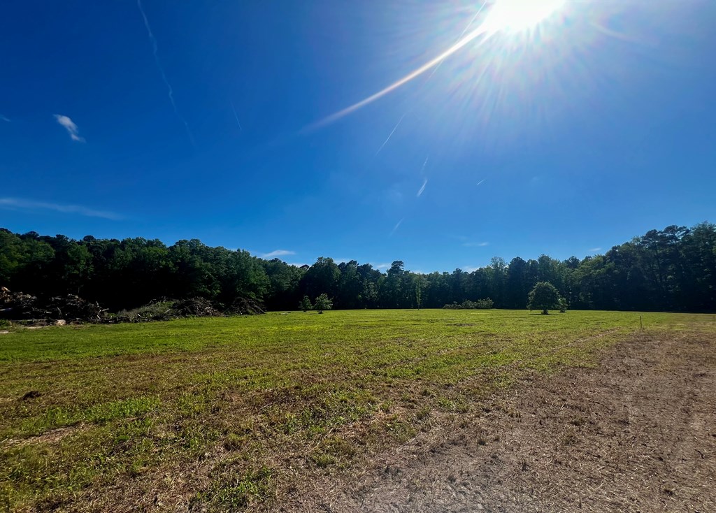 LOTS 1-8 Gray Farm Rd #1-8, Temperanceville, Virginia image 10