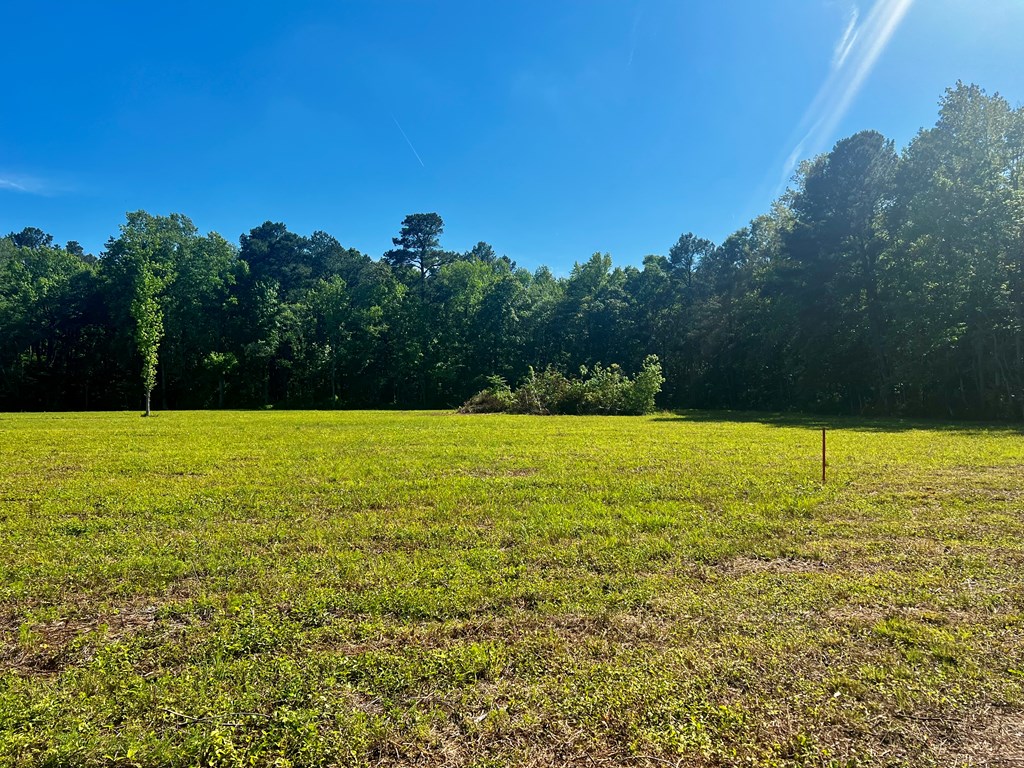 LOTS 1-8 Gray Farm Rd #1-8, Temperanceville, Virginia image 14