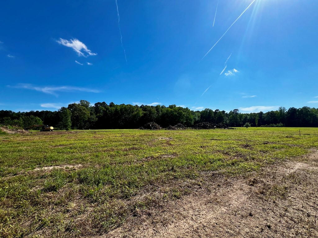 LOTS 1-8 Gray Farm Rd #1-8, Temperanceville, Virginia image 5