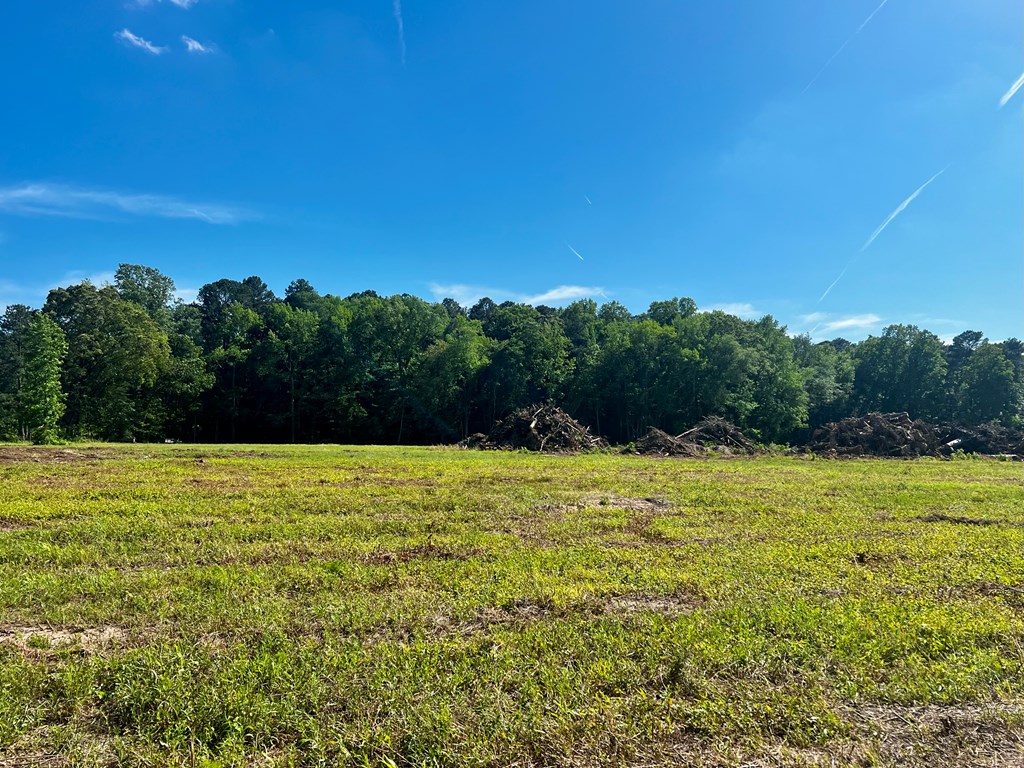 LOTS 1-8 Gray Farm Rd #1-8, Temperanceville, Virginia image 4