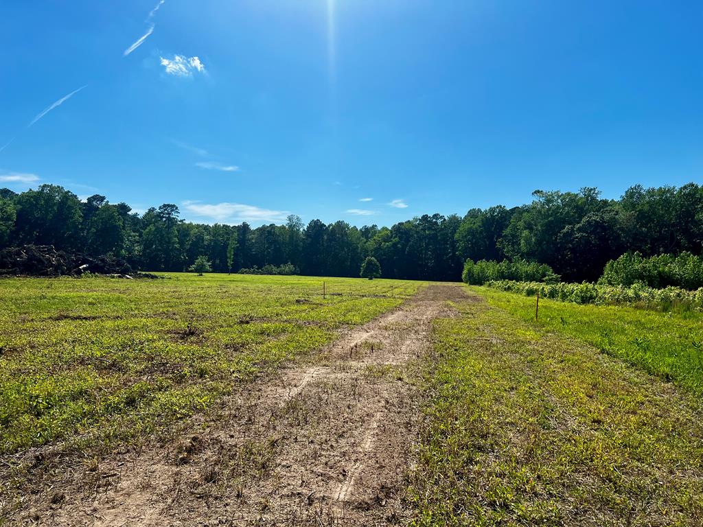 LOTS 1-8 Gray Farm Rd #1-8, Temperanceville, Virginia image 1
