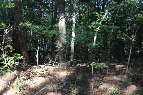 Vacant Land For Sale - 272 Shanghai Rd #272<br/> Greenbackville, VA 23356