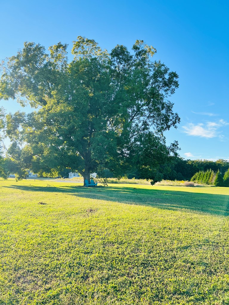 20442 Doe Crossing, Melfa, Virginia image 17