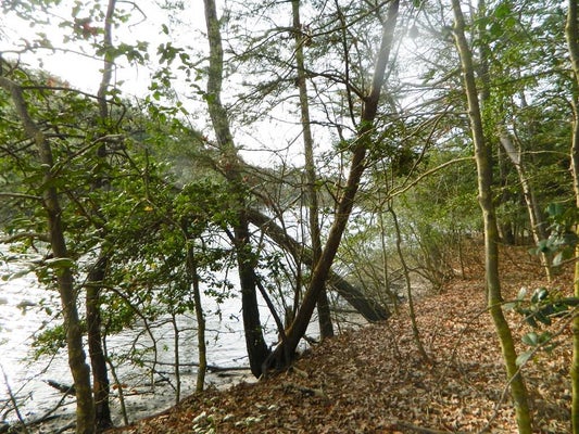 HERON DR, MACHIPONGO, VA 23405 - Image ae275f9542e4aca9755fab0b8d4c8cd9/2305240232