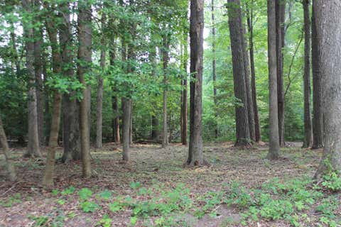 Vacant Land For Sale - 2105 Buccaneer Blvd #2105<br/> Accomack County, Greenbackville, VA 23356