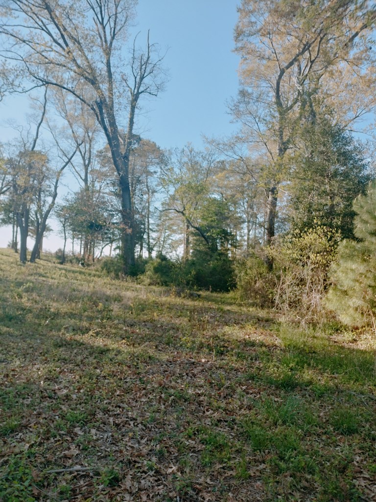 Lot 9 Cedar Grove Drive #9, Painter, Virginia image 4