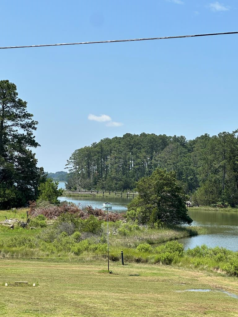 30191 Back Creek Rd, Hacksneck, Virginia image 1
