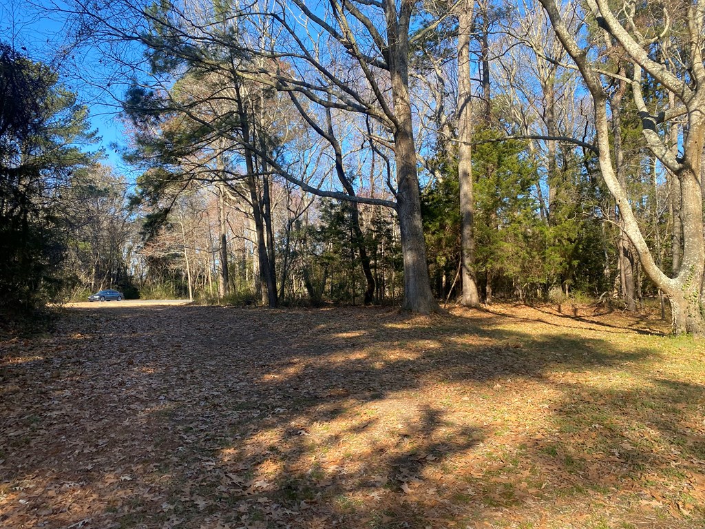 Lot 2C Park Lane #2C, Machipongo, Virginia image 4