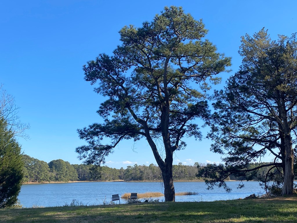 Lot 2C Park Lane #2C, Machipongo, Virginia image 9