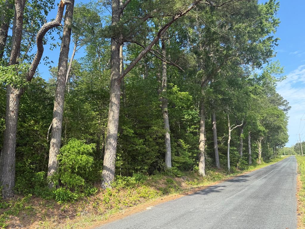 80A1 Withams Rd #80A1, Withams, Virginia image 1