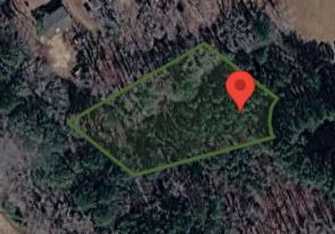 Vacant Land For Sale - 6 Haden Cir #6<br/> Painter, VA 23420