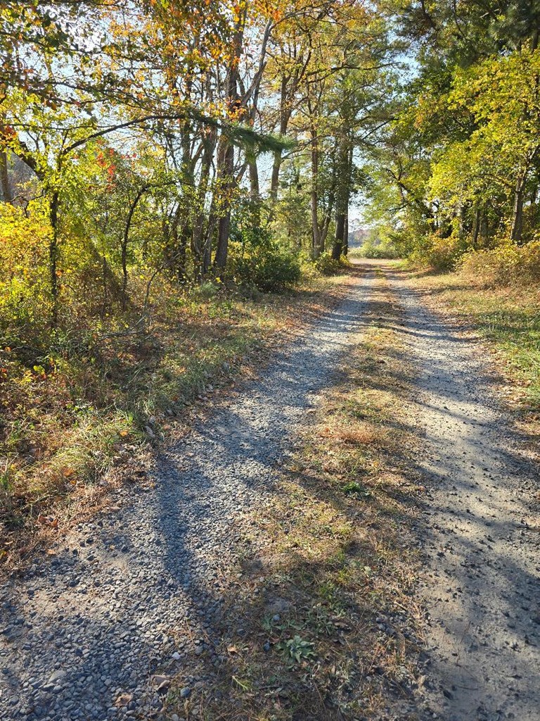 Doe Creek Road, Onancock, Virginia image 2