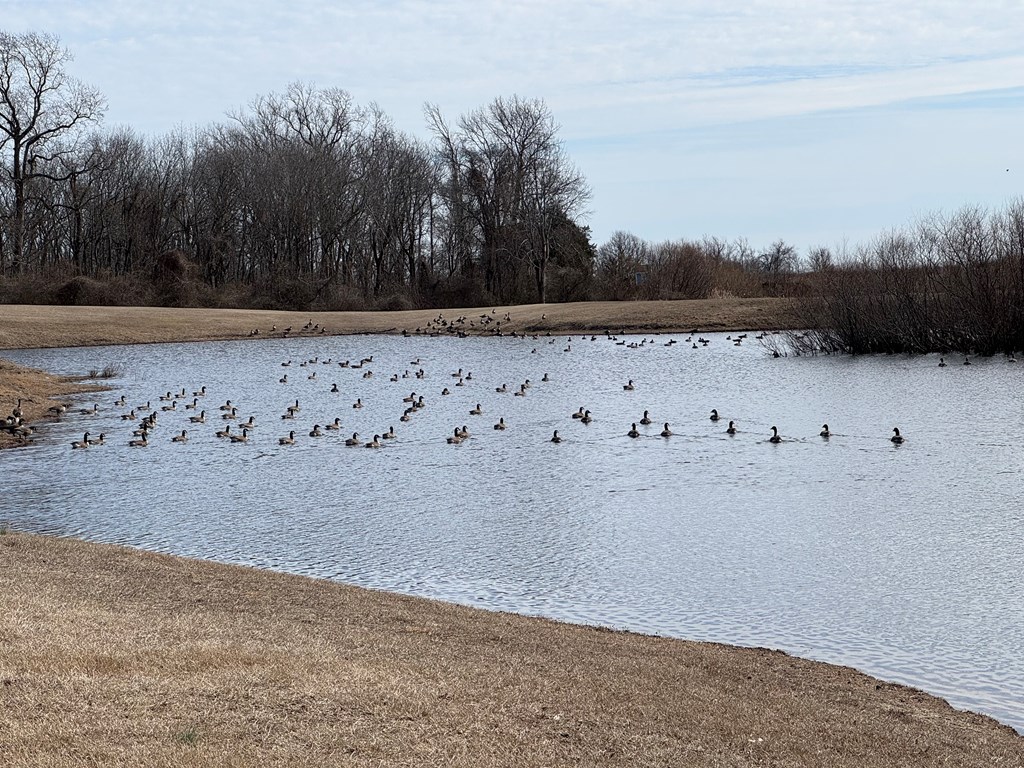 112 Coventon Lane #112, Horntown, Virginia image 9