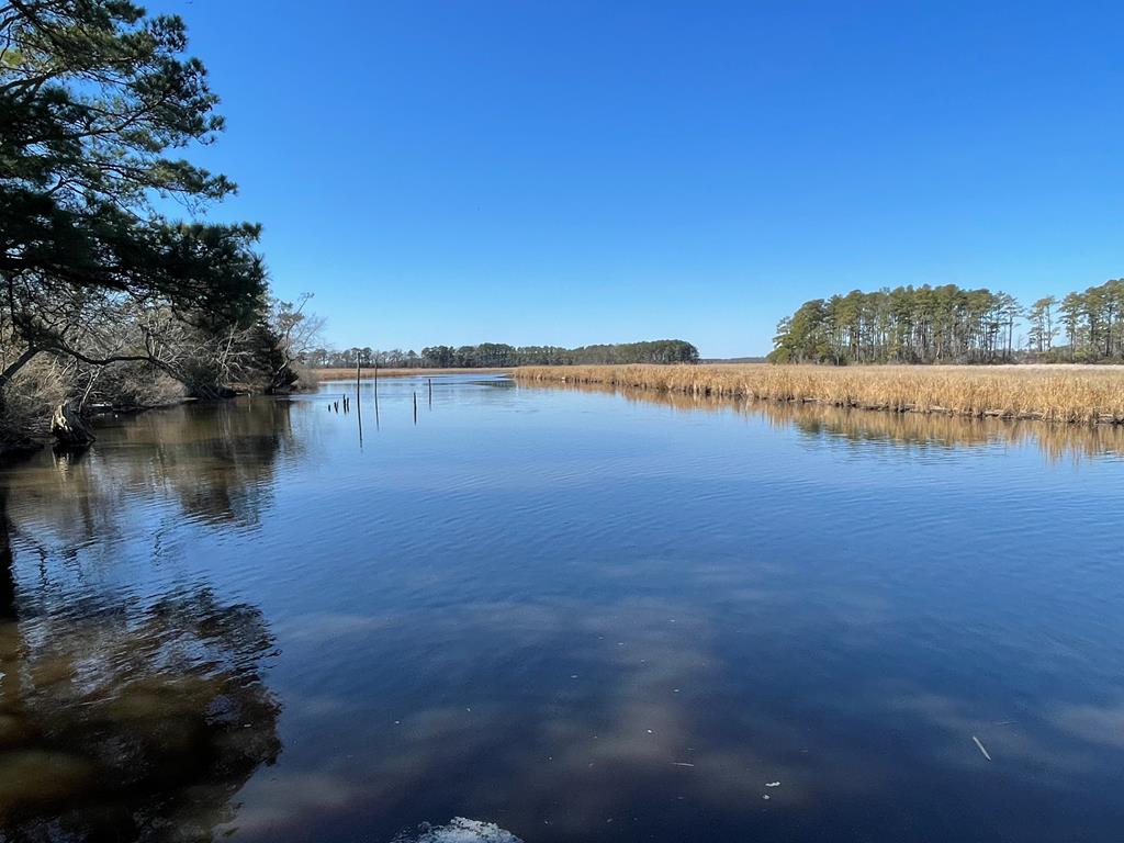 Lot 31 Miles Rd #31, New Church, Virginia image 21