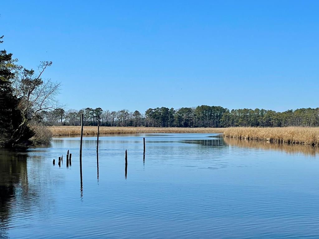 Lot 31 Miles Rd #31, New Church, Virginia image 20