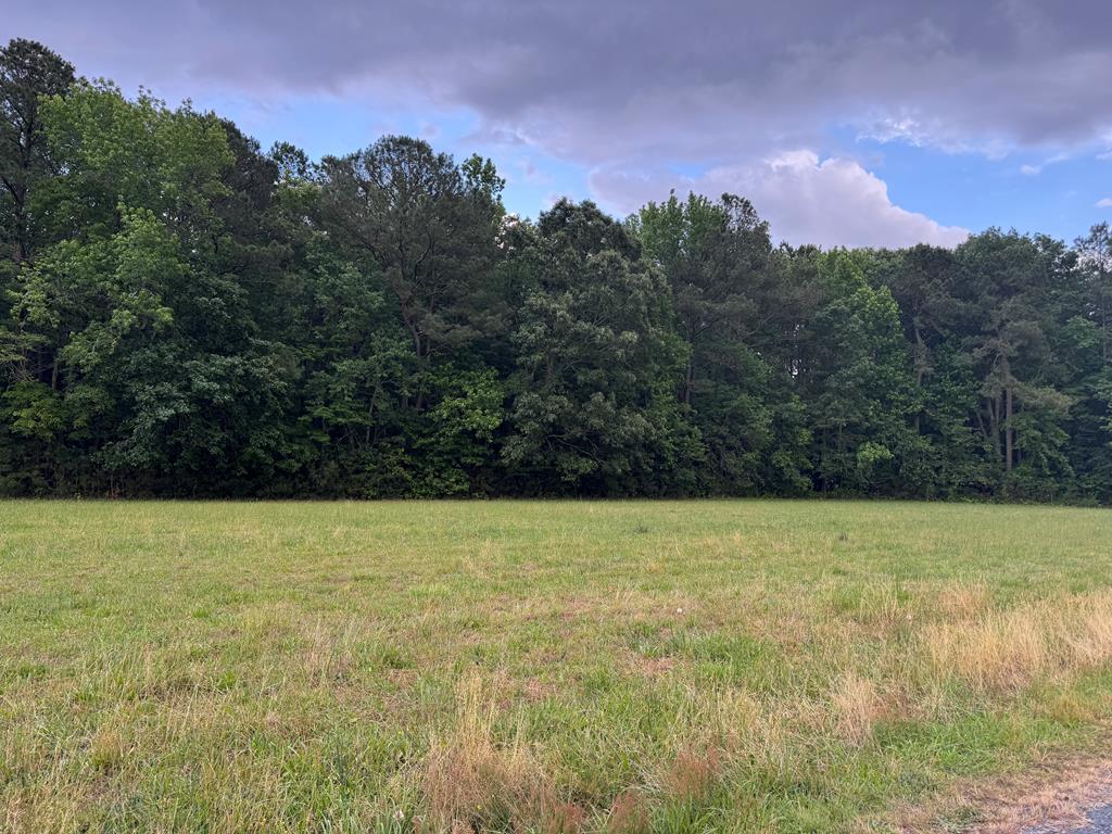 Lot 31 Miles Rd #31, New Church, Virginia image 1