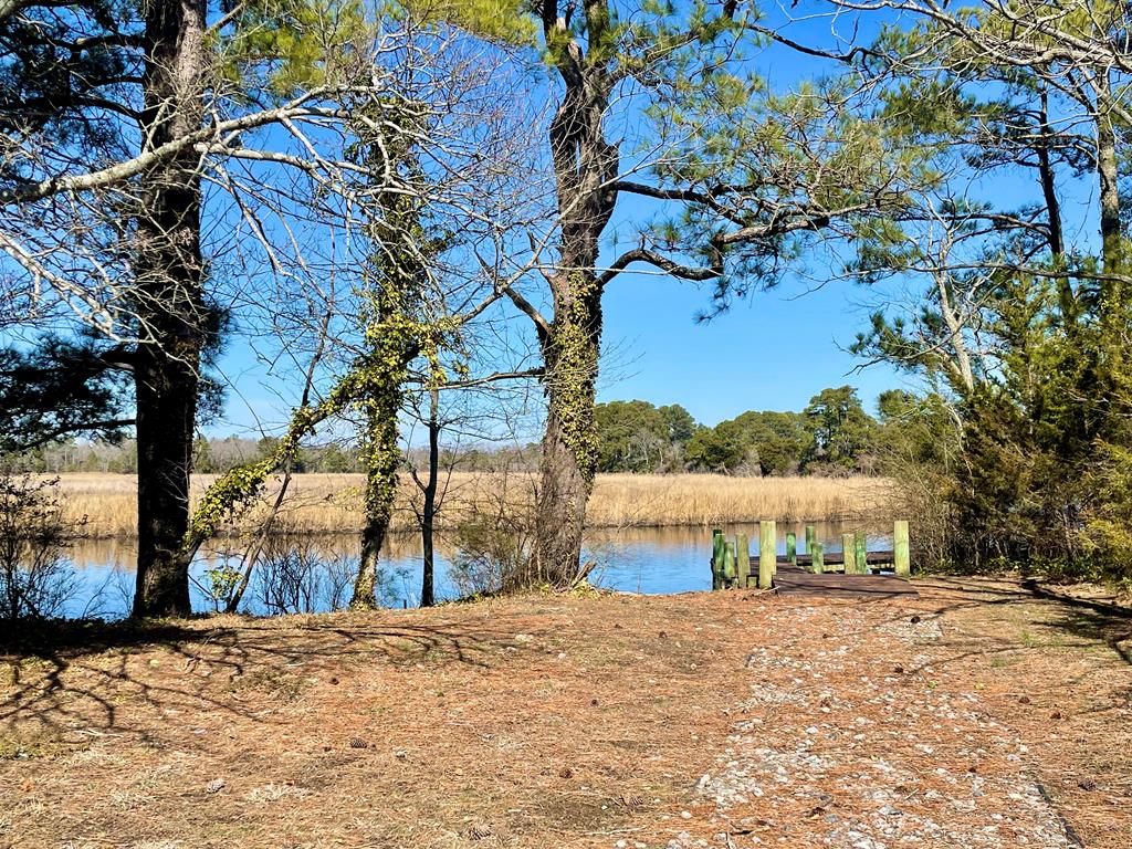 Lot 31 Miles Rd #31, New Church, Virginia image 23
