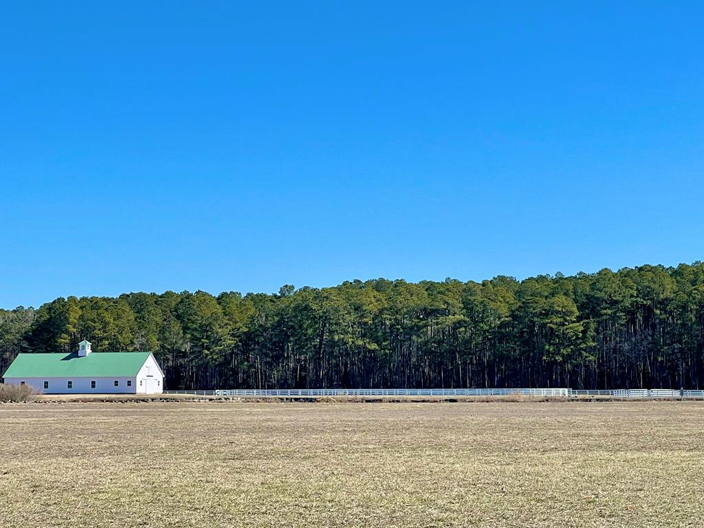 Lot 31 Miles Rd #31, New Church, Virginia image 13