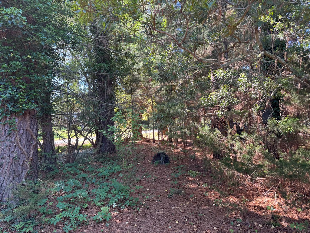 6038 Limpet Dr, Horntown, Virginia image 18
