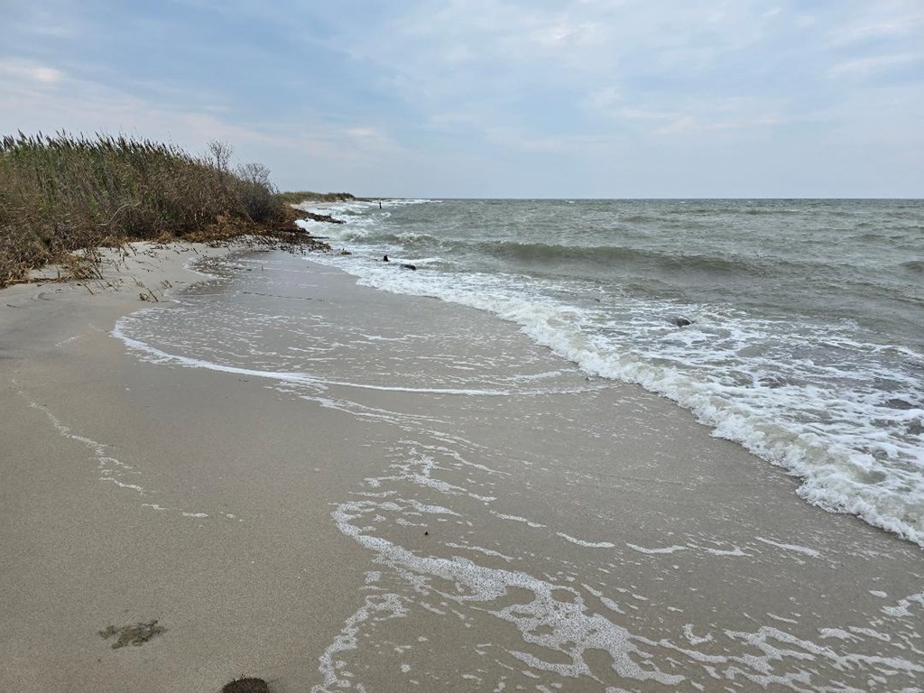 16072 Main Ridge Rd, Tangier, Virginia image 16