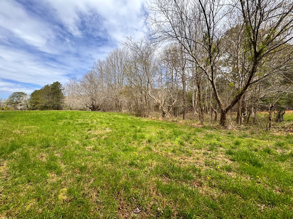 Lot 24 Peaceful Lakes Dr #24, Jamesville, Virginia image 8