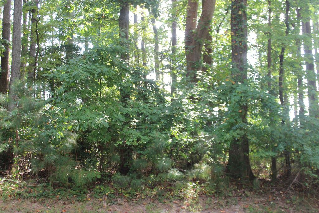 146 Captains Corridor #146, Greenbackville, Virginia image 1