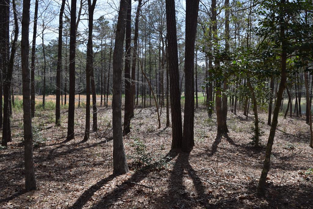 Lot  75 Scarburgh Lane #75, Horntown, Virginia image 3