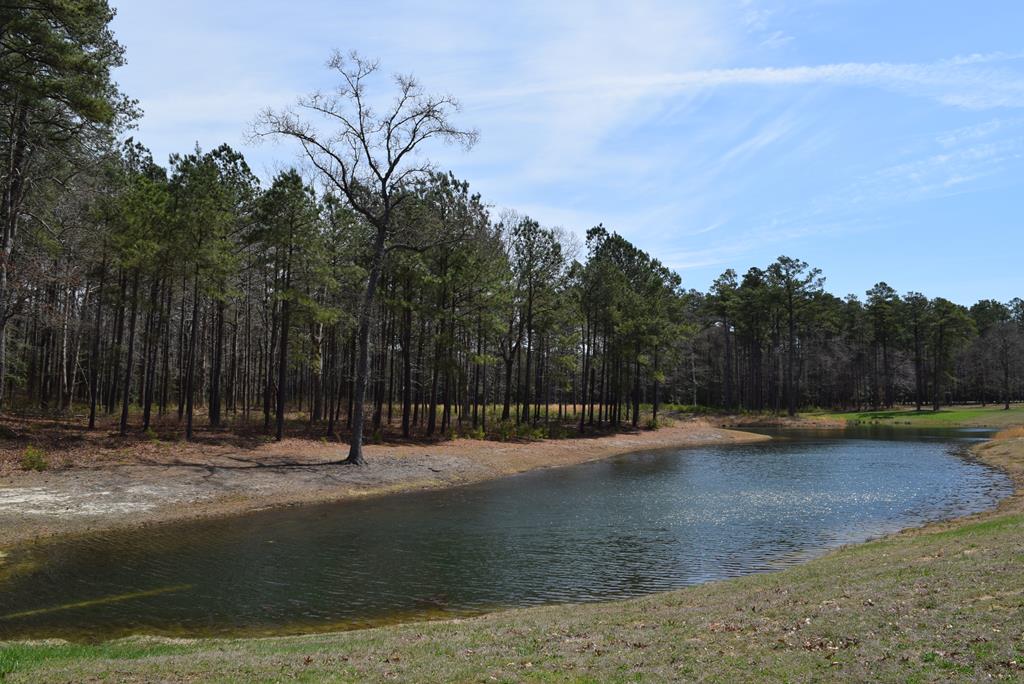 Lot  75 Scarburgh Lane #75, Horntown, Virginia image 7