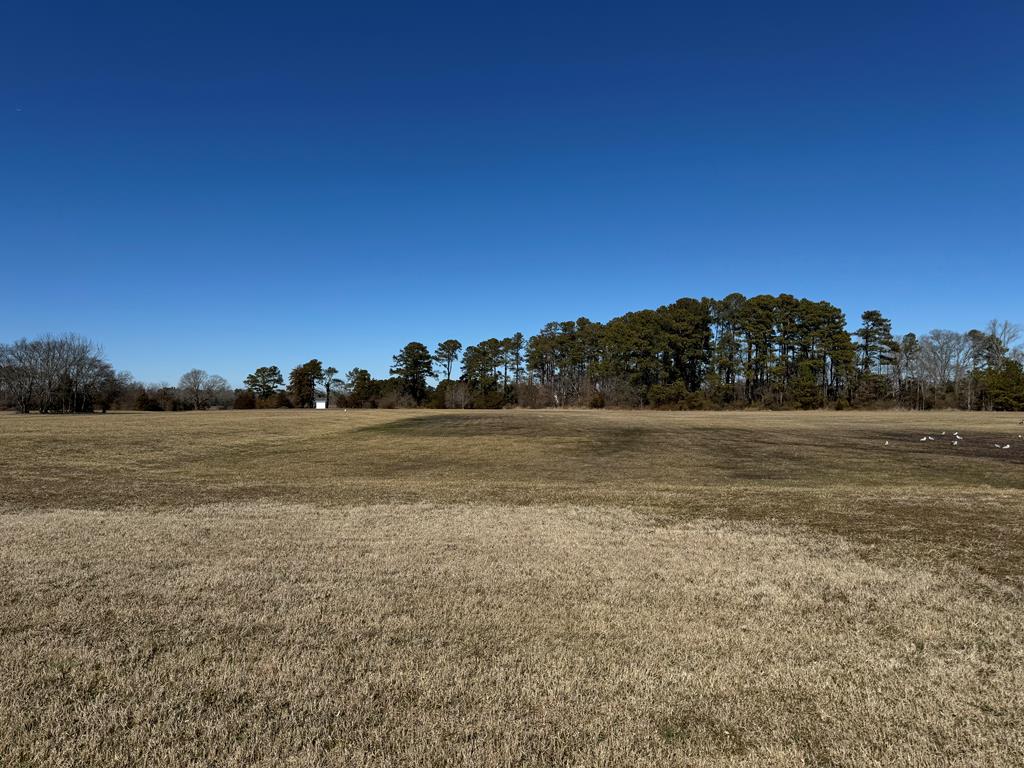 Lot 13 Benson Dr #13, New Church, Virginia image 1