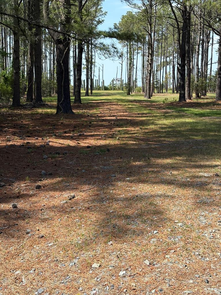 21302 Wise Point Ln #1, 8, Onancock, Virginia image 10