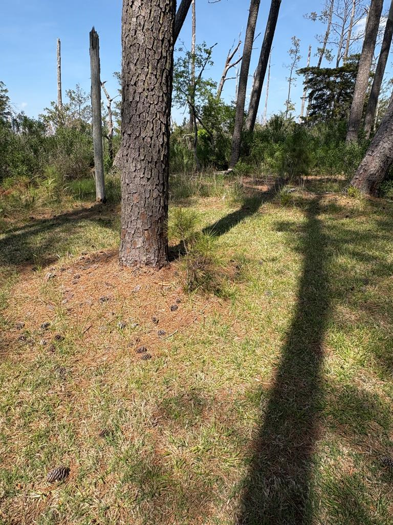 21302 Wise Point Ln #1, 8, Onancock, Virginia image 48