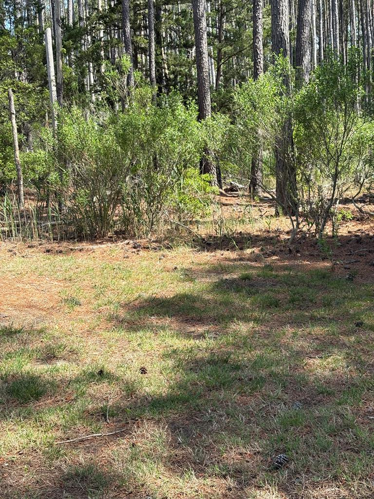 21302 Wise Point Ln #1, 8, Onancock, Virginia image 38