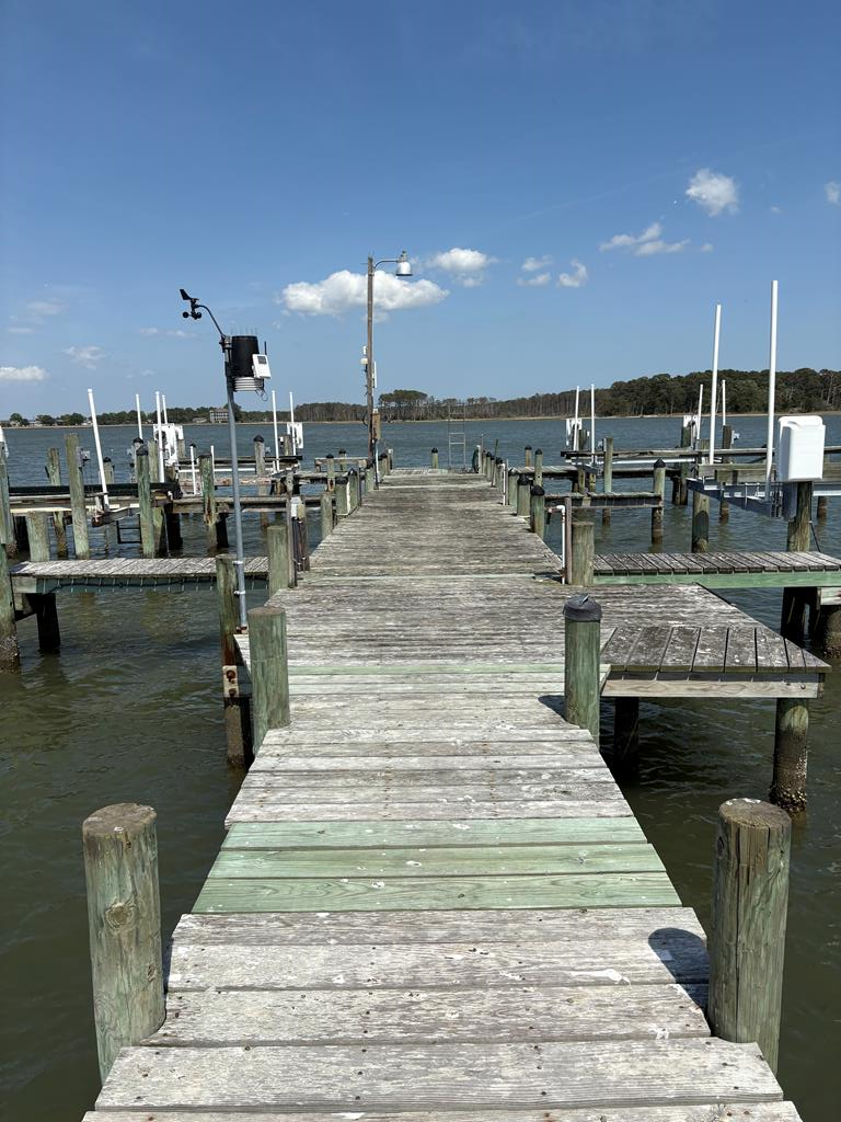 21302 Wise Point Ln #1, 8, Onancock, Virginia image 14
