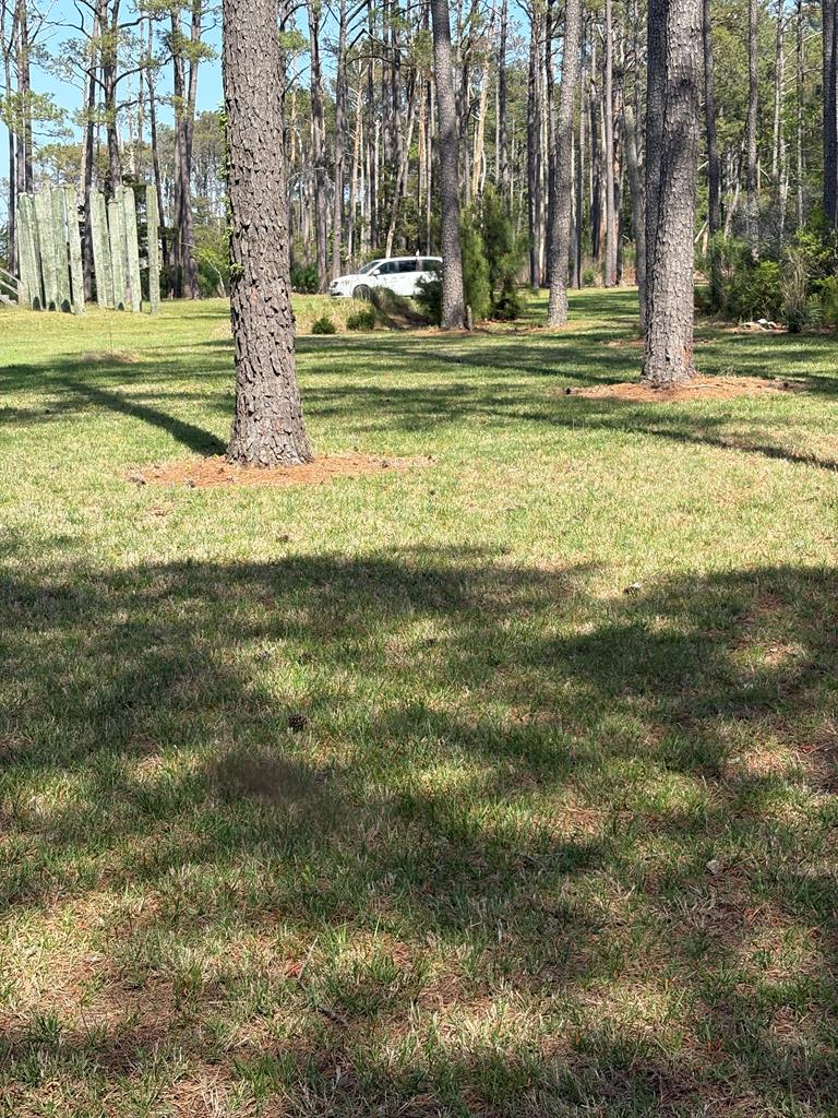 21302 Wise Point Ln #1, 8, Onancock, Virginia image 17