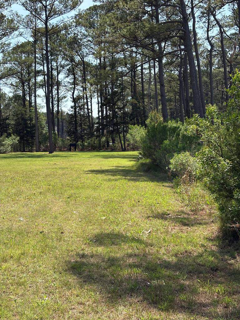 21302 Wise Point Ln #1, 8, Onancock, Virginia image 46