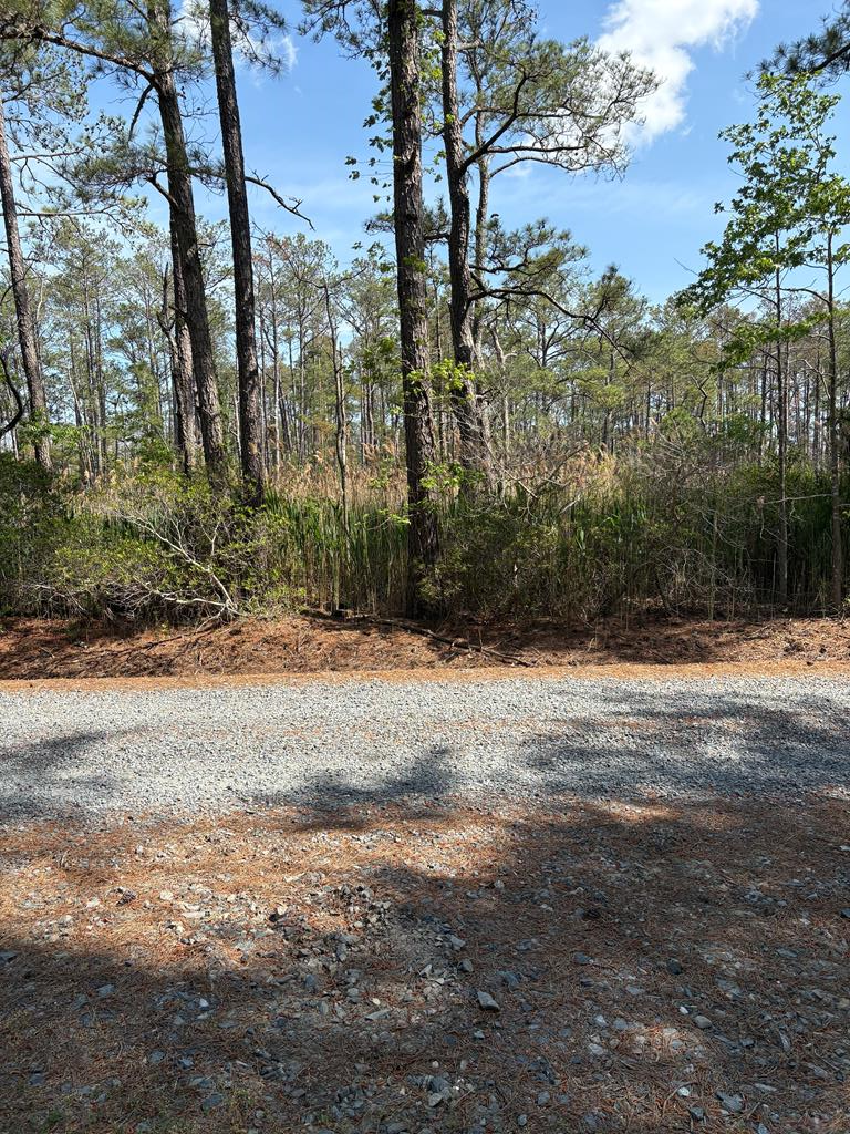 21302 Wise Point Ln #1, 8, Onancock, Virginia image 35