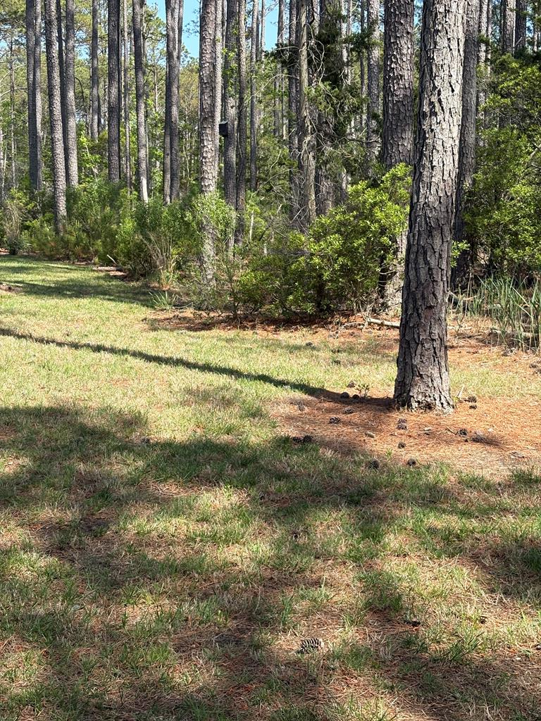 21302 Wise Point Ln #1, 8, Onancock, Virginia image 40