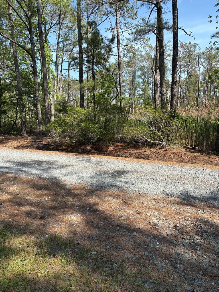 21302 Wise Point Ln #1, 8, Onancock, Virginia image 37
