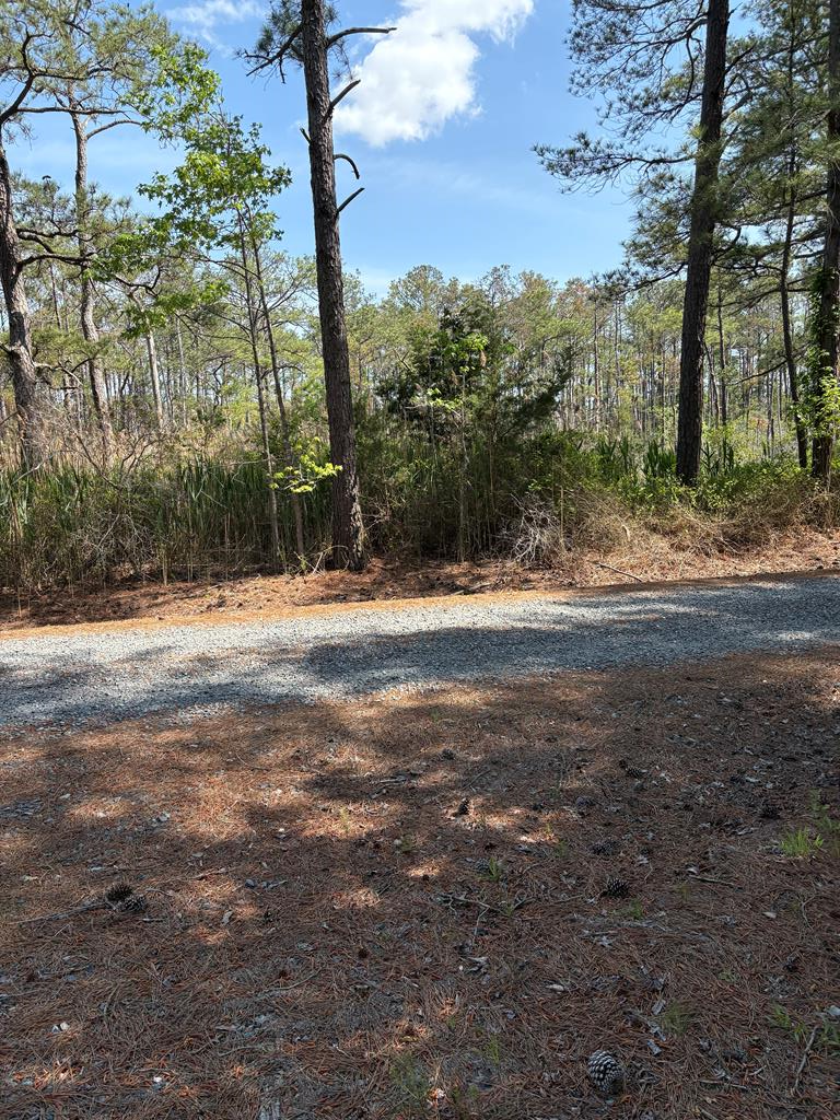 21302 Wise Point Ln #1, 8, Onancock, Virginia image 36