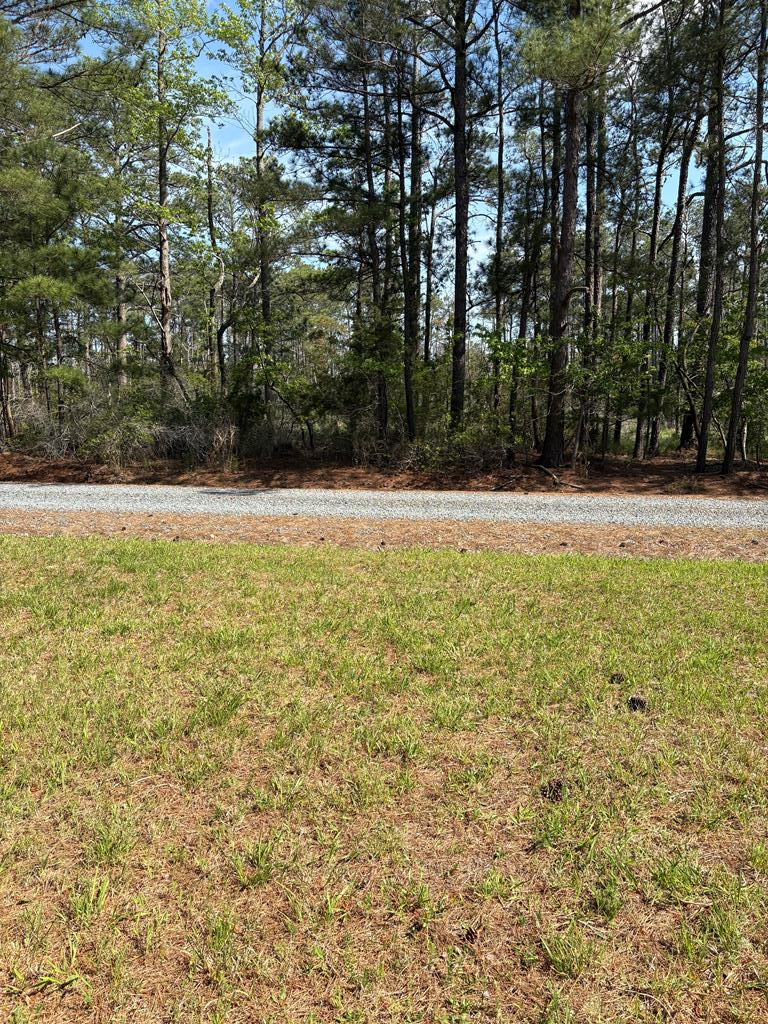 21302 Wise Point Ln #1, 8, Onancock, Virginia image 24