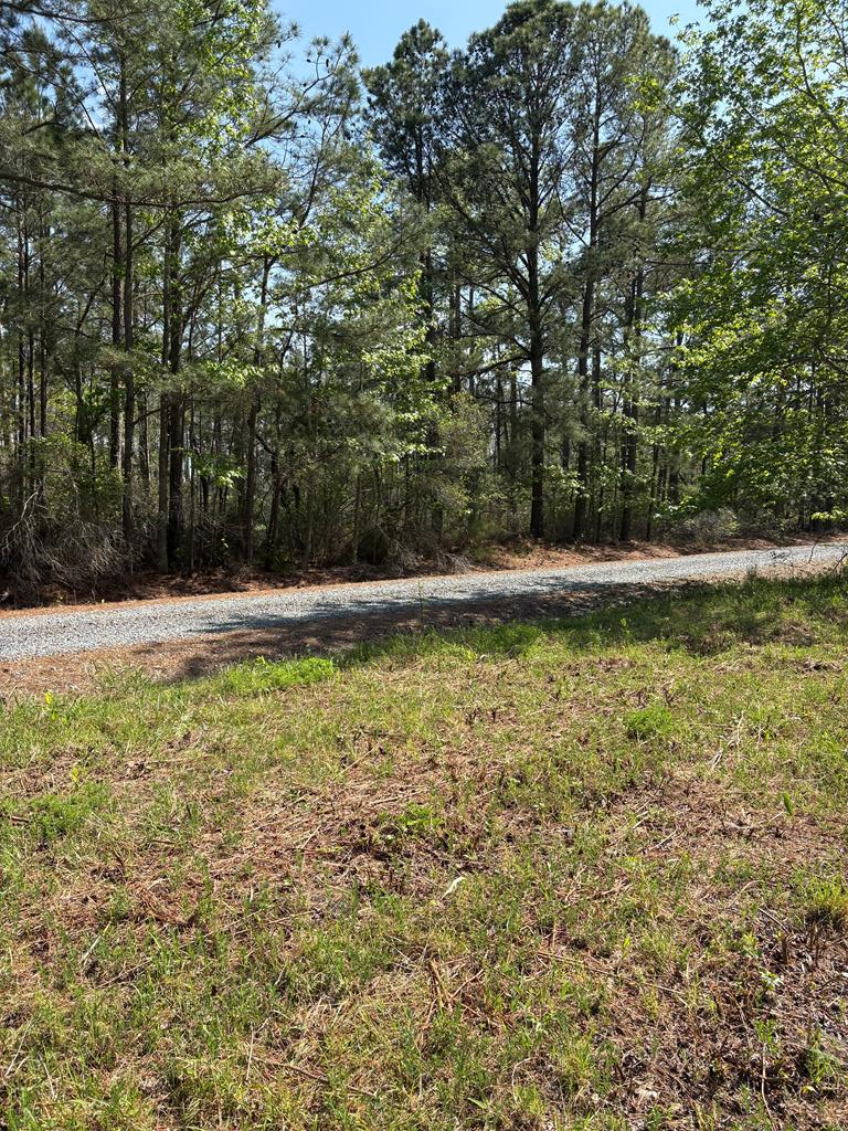 21302 Wise Point Ln #1, 8, Onancock, Virginia image 26