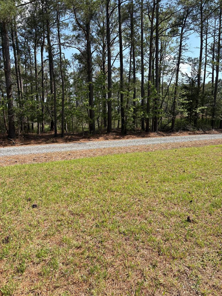 21302 Wise Point Ln #1, 8, Onancock, Virginia image 25