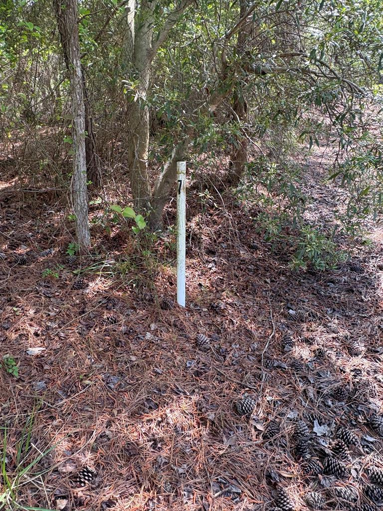 21302 Wise Point Ln #1, 8, Onancock, Virginia image 32