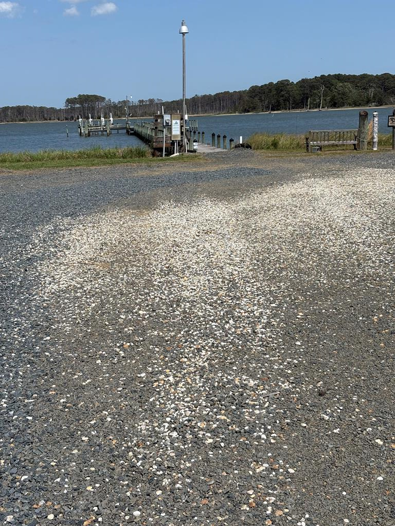 21302 Wise Point Ln #1, 8, Onancock, Virginia image 12